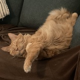 Entry image for Reilly