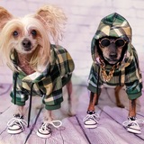 Entry image for Oi & Gracie