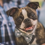 Entry image for Finnegan