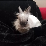 Entry image for Kevin 