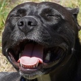 Entry image for Winter