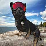 Entry image for Queenie