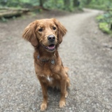 Entry image for Zadie