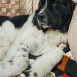 Entry image for Oslo