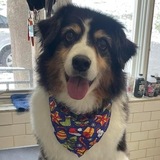 Entry image for Tank