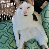 Entry image for Cray-Cray 