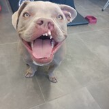 Entry image for Jojo