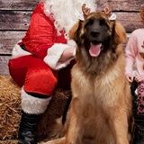 Entry image for Lilith