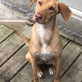 Entry image for Cali