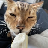 Entry image for Lincoln 