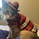 Entry image for Quin