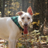 Entry image for Larry