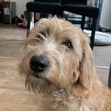 Entry image for Rudy