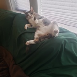 Entry image for Benny