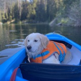 Entry image for Lolo