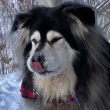 Entry image for Kita