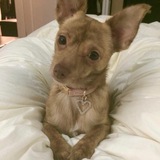 Entry image for Chloe Bell