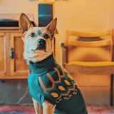 Entry image for Olive 