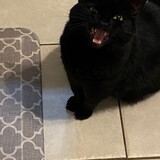 Entry image for Maggie