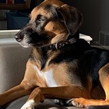 Entry image for Molly