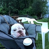 Entry image for Ralph Grumman Buchanan