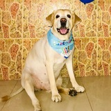 Entry image for Ethan