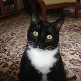 Entry image for Boots