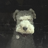 Entry image for Chester