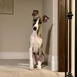 Entry image for Smithers