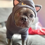 Entry image for Josephine