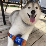 Entry image for Ripken