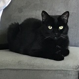 Entry image for Maggie Mae