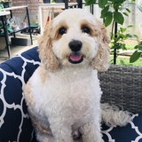 Entry image for Malakai 