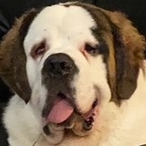 Entry image for Walter