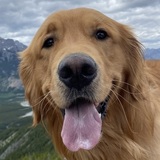 Entry image for Duke