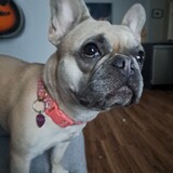 Entry image for Ruby