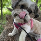 Entry image for Mocha