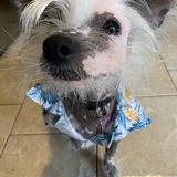 Entry image for Edgar