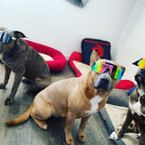 Entry image for Kali , Cleo , Hades 