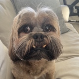 Entry image for Jackson