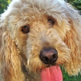 Entry image for JEANNIE