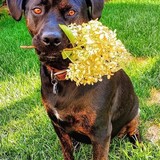 Entry image for Eddie 