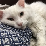 Entry image for April