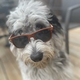 Entry image for Wally