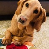 Entry image for Nora