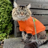 Entry image for Ngaire