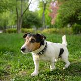 Entry image for Marty McFly