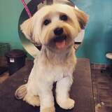 Entry image for Bruce