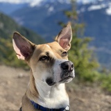 Entry image for Diego