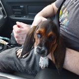 Entry image for Maggie